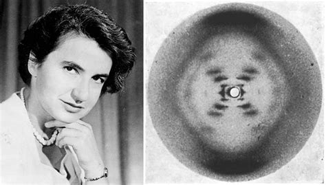 Rosalind Franklin ganha homenagem em Doodle do Google