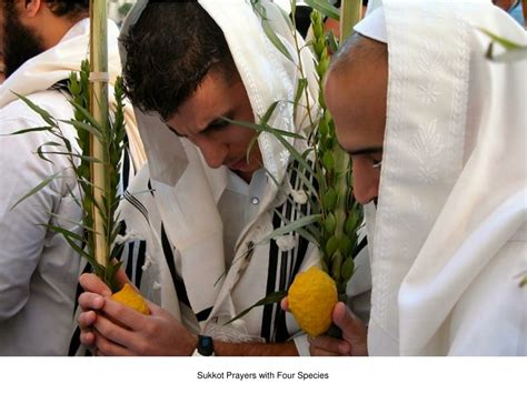 PPT - Sukkot Celebrations (2011) PowerPoint Presentation, free download ...