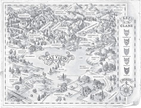 Warrior Cats Forest Territory Map