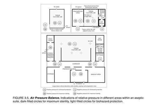 Animal Cell Culture Laboratory Design Ppt : Introduction To Animal Tissue Culture Science Book ...