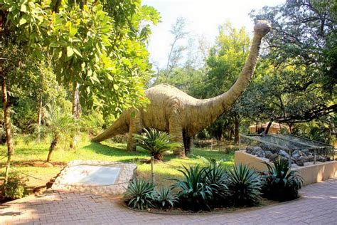 Shivalik Fossil Park - Nahan - Connecting Traveller