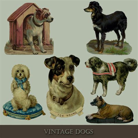 Vintage Dog Set Illustrations Free Stock Photo - Public Domain Pictures