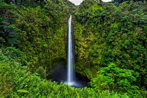 How to Visit Gorgeous Akaka Falls State Park (+ Map)