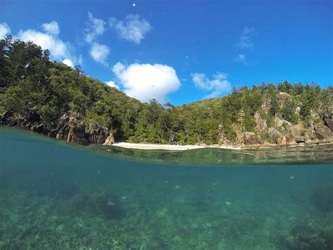 Hook Island, Whitsundays Photograph by Keiran Lusk - Fine Art America