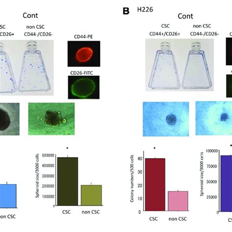 Cell viability analysis using CellTiter-Glo luminescent cell viability... | Download Scientific ...