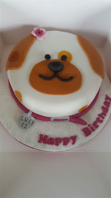 Cute dog cake | Cake, Dog cake, Desserts