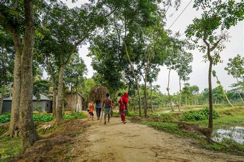 Unique village homestay in Bangladesh at rural village Ekduaria.