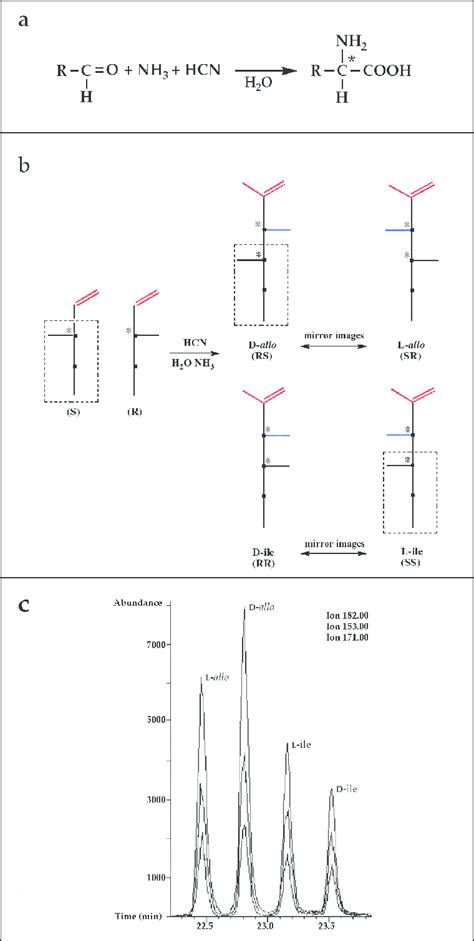 (a) The Strecker synthesis for the possible formation of amino acids in ...