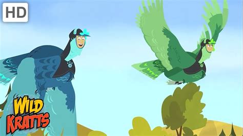 Wild Kratts | Turkey Creature Power! 🦃 Happy Thanksgiving! - YouTube