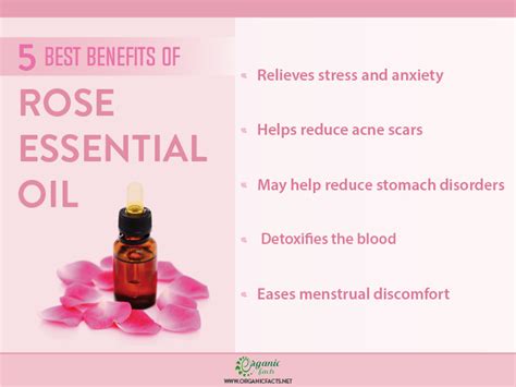 Rose Oil Benefits For Skin | Cursin Hobaianao