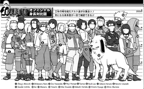 Size Comparison of Naruto Shippuuden-Characters - Naruto Shippuuden ...