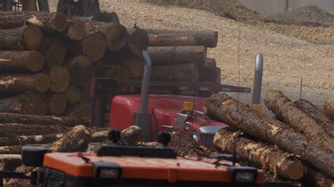 Logging Industry - Forestry Wood Production Stock Footage SBV-307326168 ...