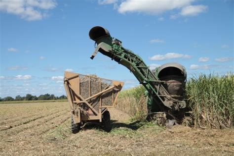 Specialized Equipment for Sugar Cane Farmers | The Sugar Association