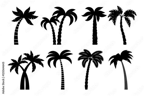 Palm tree black set. Vector drawing palma trees silhouettes isolated on ...