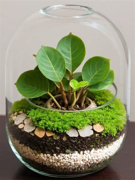 Unique Anniversary Gift Ideas With Plants | Alacritys