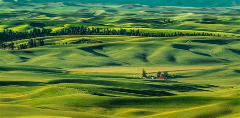 Palouse Photography Tips: A Guide for Visitors - Firefall Photography