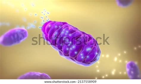 Atp Synthase 3d Medical 3d Render Stock Illustration 2137558909 ...