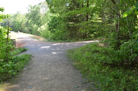 Reedy Creek Nature Preserve | Kids in Parks