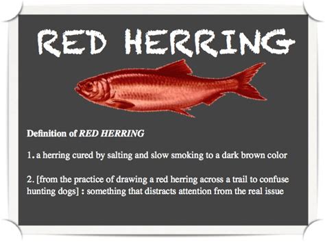 NO MA'AM: On Red Herrings and the Totalitarian Trap