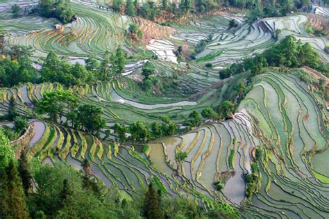 Amazingly Beautiful Rice Terraces (25 pics) - Izismile.com