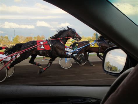 Tom and Donna Full-timer RV Blog: Cal Expo Harness Racing