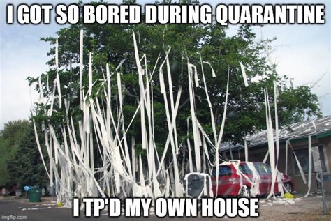 I got so bored during quarantine I TP'd my own house - Imgflip