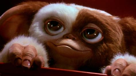 Gremlins Gizmo Wallpaper - WallpaperSafari