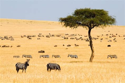 Top Tourist Attractions in Kenya 2024/2025 - Mabumbe