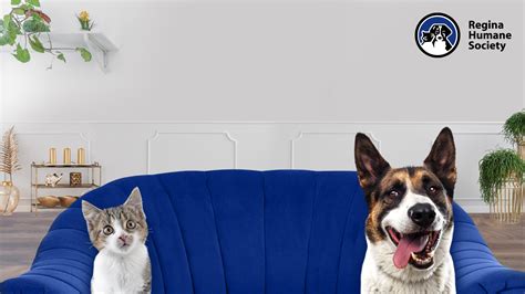 Video Conference Backgrounds - Regina Humane Society Inc