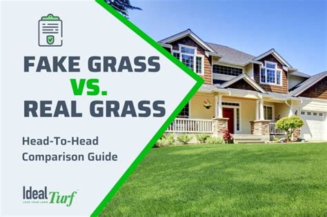 Fake Grass vs. Real Grass: Head-To-Head Comparison Guide