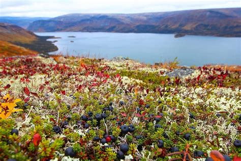 Kola Peninsula in autumn : r/natureporn