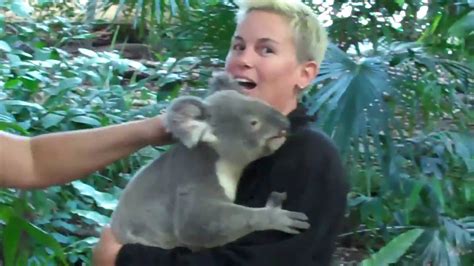 Long Awkward Hug with a Koala Bear - YouTube