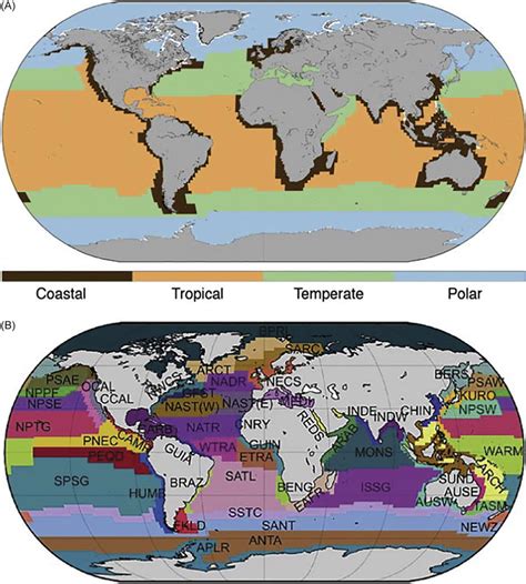 Map of the (A) biomes and (B) Biogeochemical provinces defined by ...