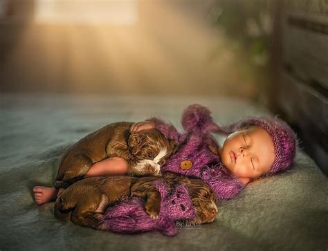 30+ Adorable Newborn Babies Sleeping With Baby Animals