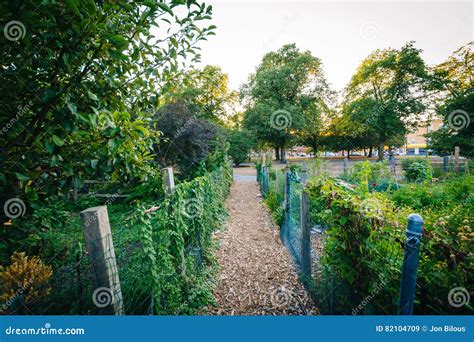 Walkway and Gardens at Back Bay Fens, in Boston, Massachusetts. Stock Image - Image of lights ...