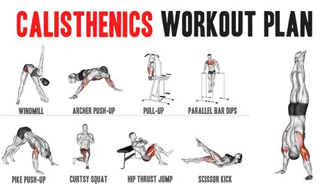 Are You Looking For A Perfect Calisthenics Workout Plan?