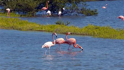 Turks and Caicos National Trust - Wikishire