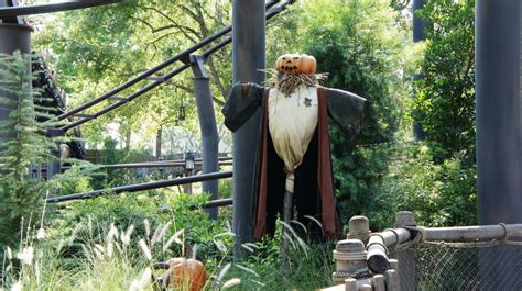 Flight of the Hippogriff at Universal's Islands of Adventure