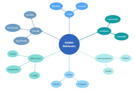 Bubble Map: A Complete Guide to Using Bubble Maps | MindManager