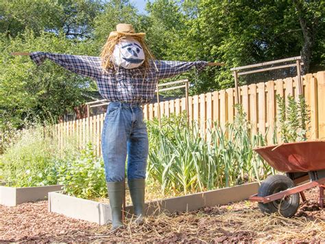 How to Make a Scarecrow for Your Garden | HGTV