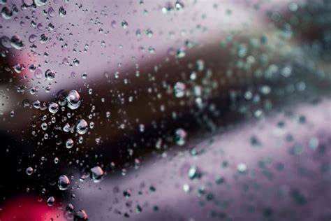 Macro Photography of Water Droplets · Free Stock Photo