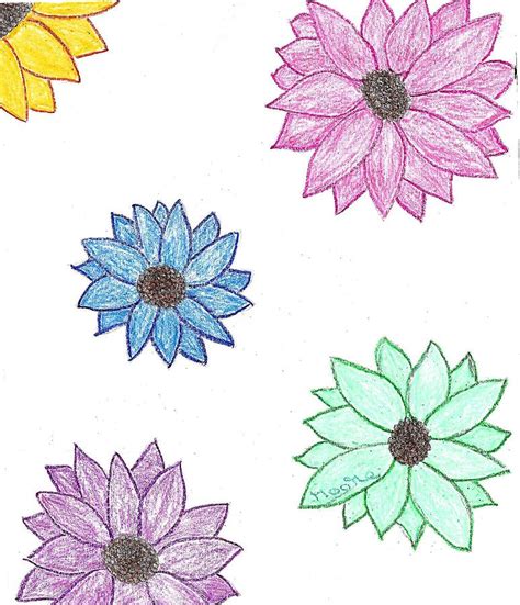 Spring Flowers Drawing by Lisa Jones - Pixels