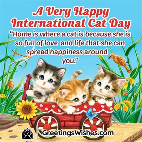 International Cat Day Messages And Quotes (8th August) - Greetings Wishes