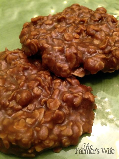 The Farmer's Wife: No Bake "Cow Pie" Cookies