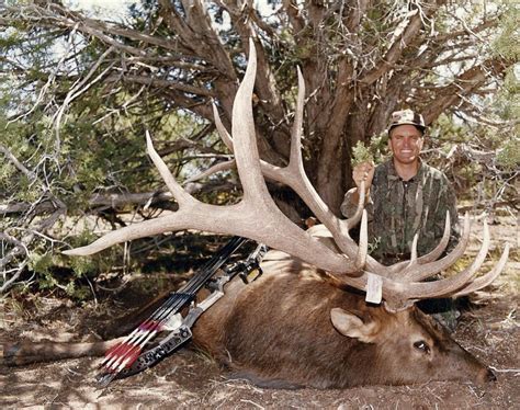 World Record Spider Bull Elk