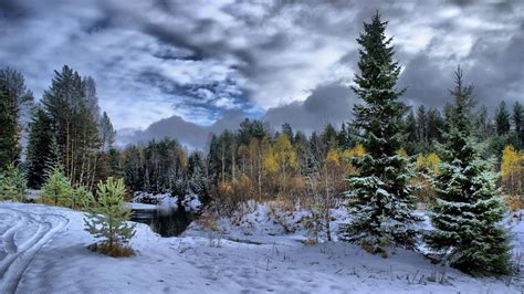 winter scene photos | Download Superb Winter Scene wallpaper 300478 | Winter Wonderland ...