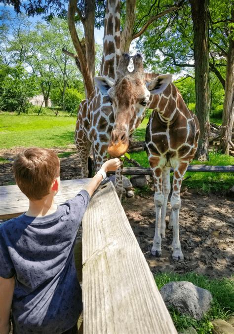 Visiting the Indianapolis Zoo - Leggings 'N' Lattes