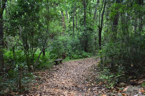 Hiking Florida | Florida Hikes!