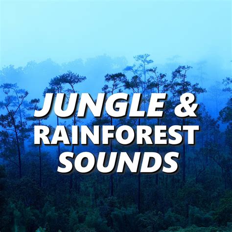 Jungle & Rainforest Sounds - Jungle & Rainforest Sounds | iHeart