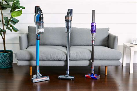 The 7 Best Cordless Vacuums for Pet Hair of 2024, Tested and Reviewed